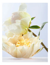 Load image into Gallery viewer, Omnia Crystalline 100ml edt