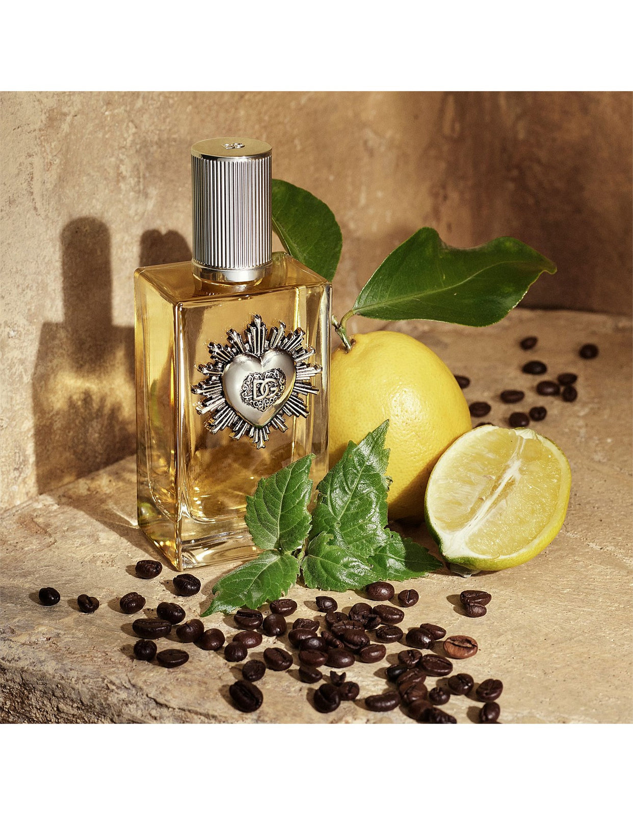 Devotion Homme 100ml edp