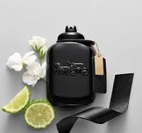 Load image into Gallery viewer, Coach Man 100ml edp