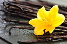 Load image into Gallery viewer, Liquid Brun 100ml edp