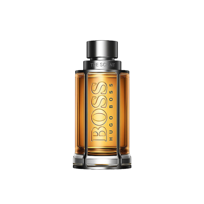 The Scent 100ml edt - scentsperfumes