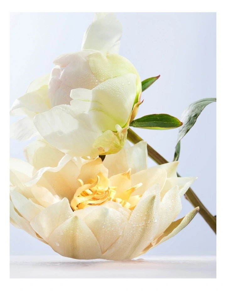 Omnia Crystalline 100ml edt