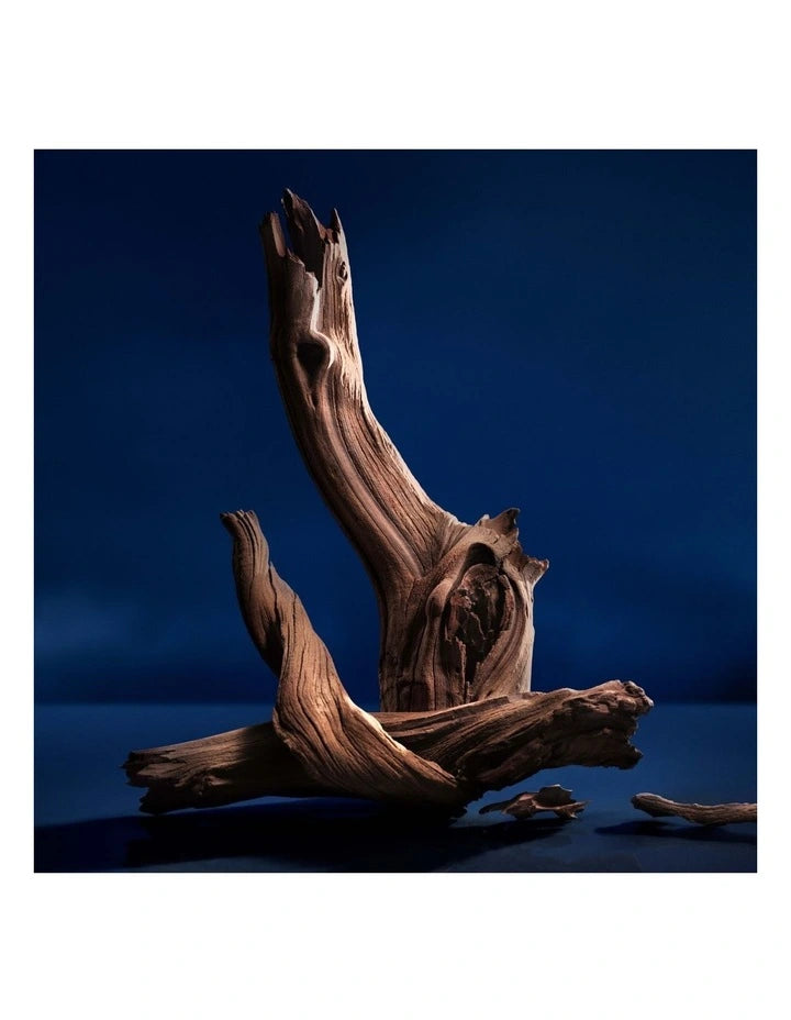 Ralph Lauren Polo 67 125ml edp