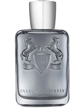 Load image into Gallery viewer, Castley 125ml edp
