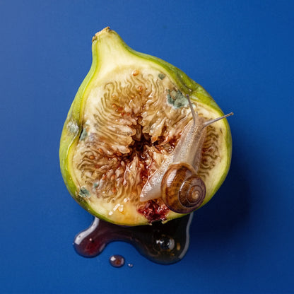 Fig Porn 50ml edp