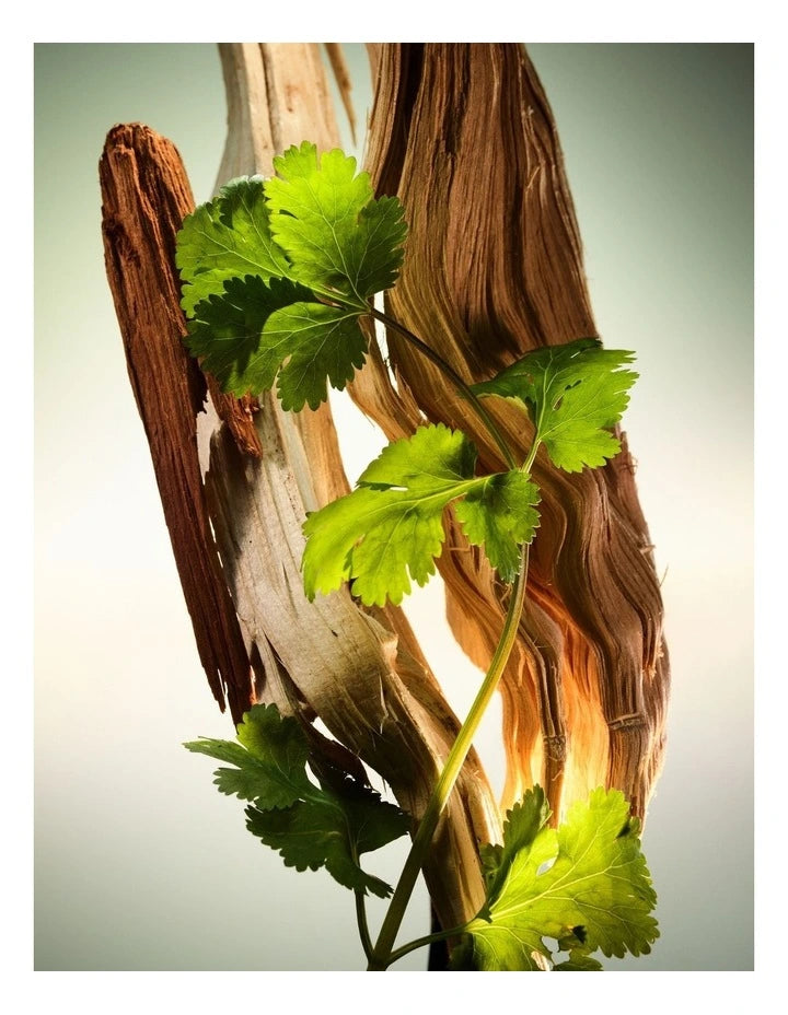Wood Essence 100ml Parfum