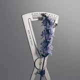 Iris Debonair 100ml edp
