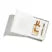 Ingenious Ginger 100ml edp 2pc Set