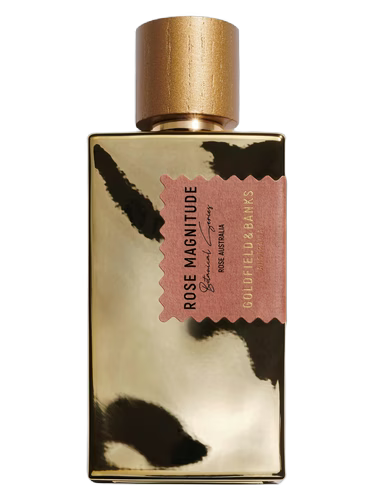 Rose Magnitude 100ml edp
