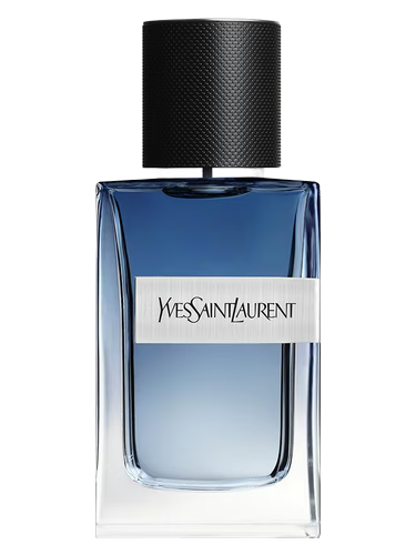 YSL Y Live Intense 90ml edp