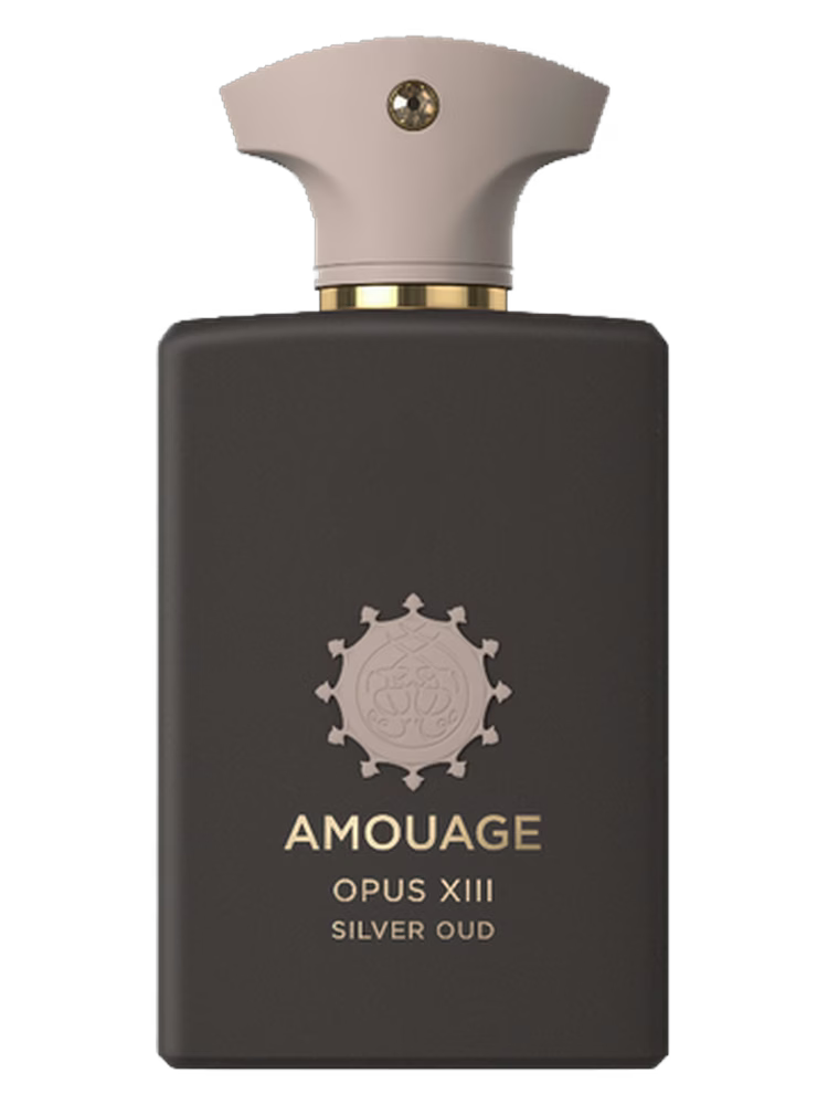 Opus XIII Silver Oud 100ml edp