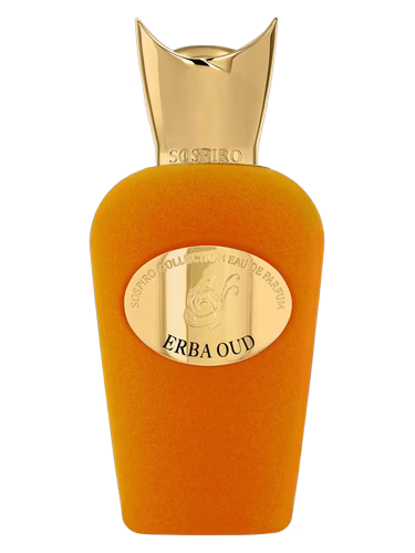 Erba Oud 100ml edp