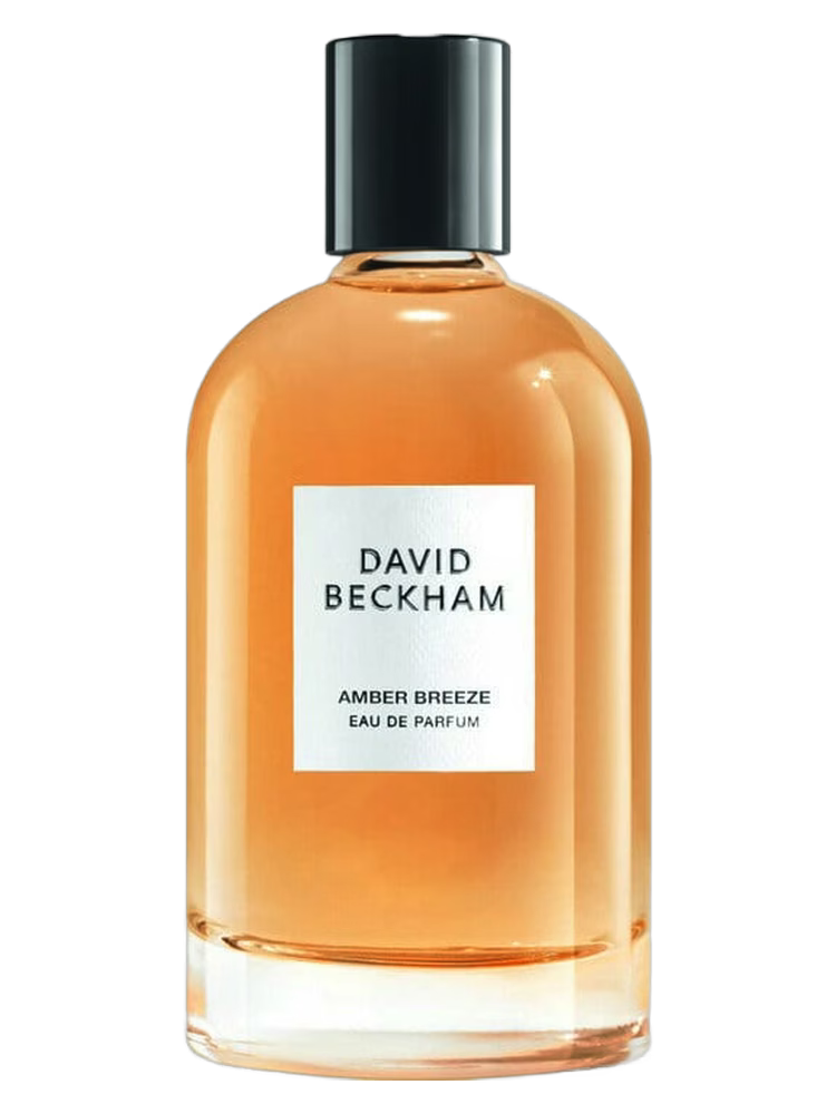 Amber Breeze 100ml edp