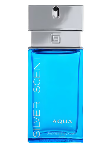 Silver Scent Aqua 100ml edp