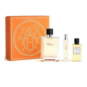 Terre D Hermes 100ml edt 3pc SET