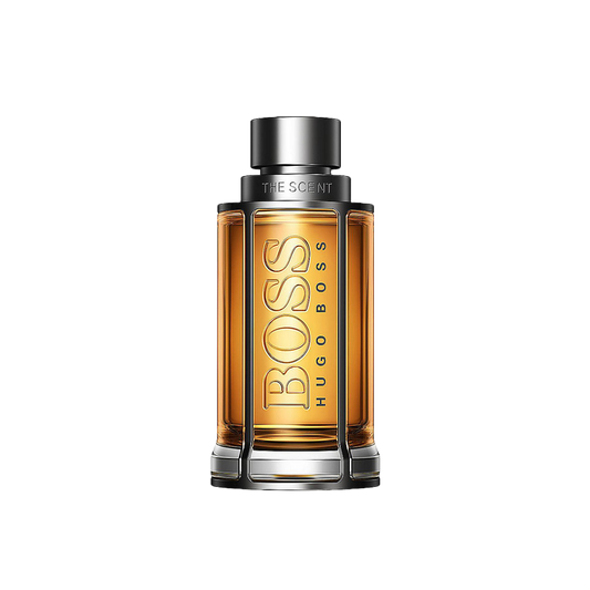 The Scent 100ml edt - scentsperfumes