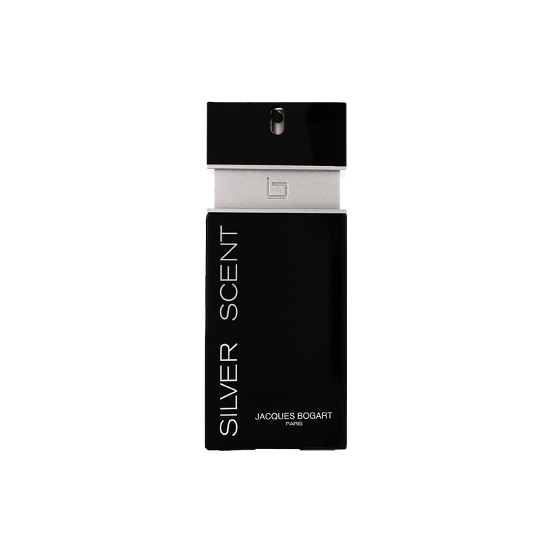 Silver Scent 100ml edt - scentsperfumes