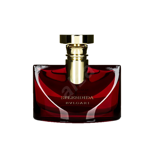 Splendida Magnolia 100ml edp - scentsperfumes