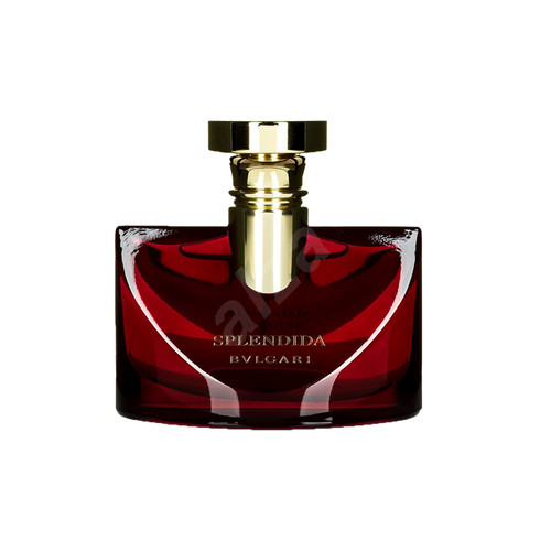 Splendida Magnolia 100ml edp - scentsperfumes