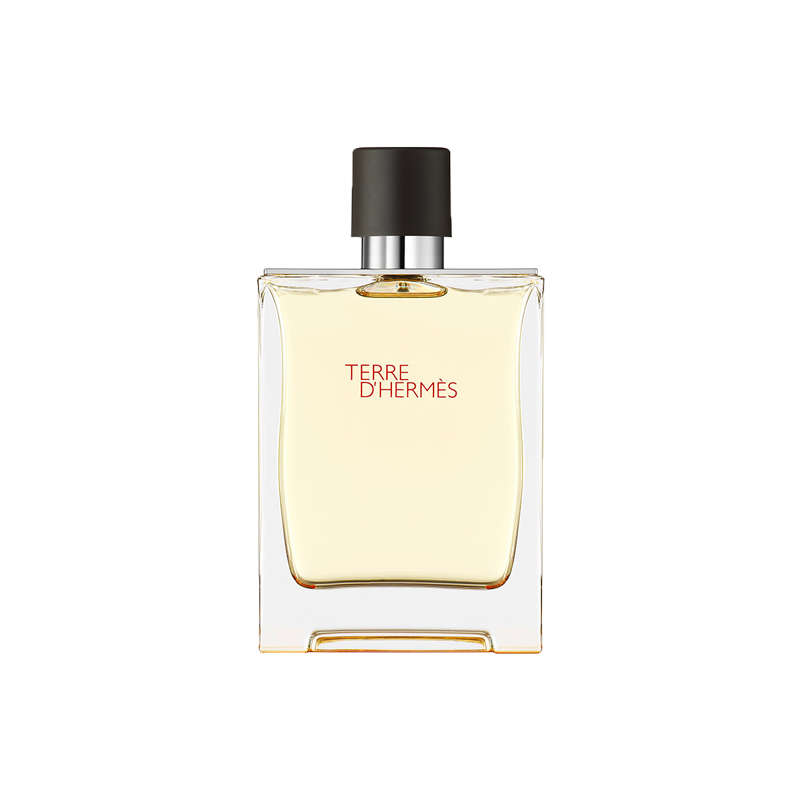 Terre D Hermes 100ml edt M - scentsperfumes